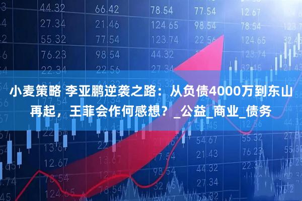 小麦策略 李亚鹏逆袭之路：从负债4000万到东山再起，王菲会作何感想？_公益_商业_债务