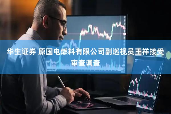 华生证券 原国电燃料有限公司副巡视员王祥接受审查调查