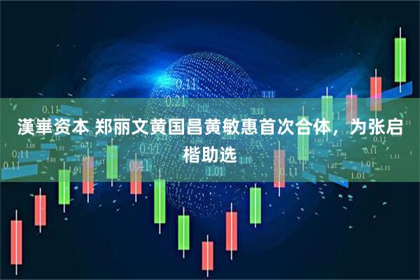 漢崋资本 郑丽文黄国昌黄敏惠首次合体，为张启楷助选